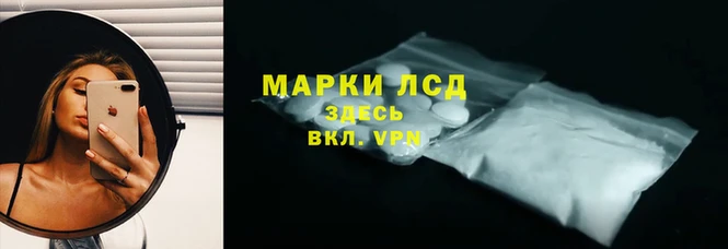 ПСИЛОЦИБИНОВЫЕ ГРИБЫ Волосово