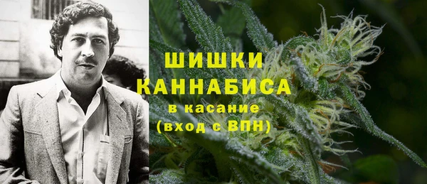 ПСИЛОЦИБИНОВЫЕ ГРИБЫ Волосово